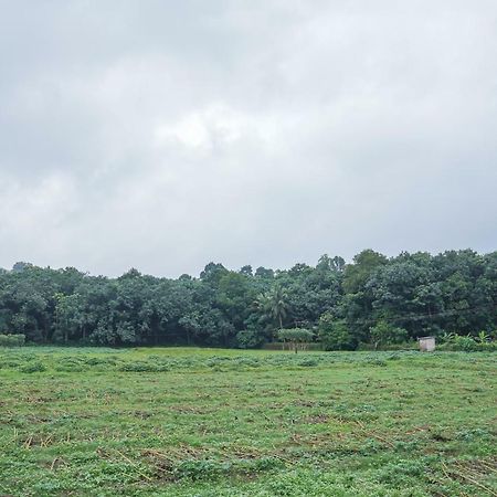 Thanal Premium Villa By - A Place To Call Your Home Muvattupuzha Экстерьер фото